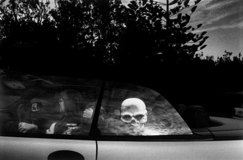 parke skull car