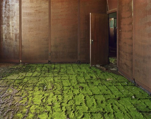 moore detroit green carpet