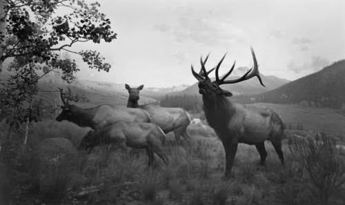 Hiroshi Sugimoto