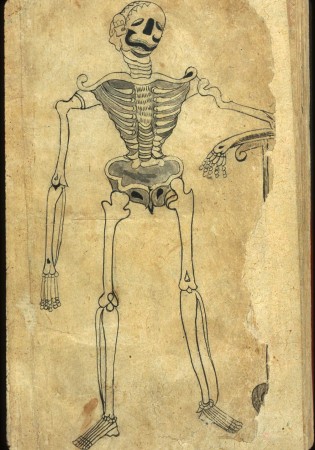 Anatomical drawing, 1750, Persia