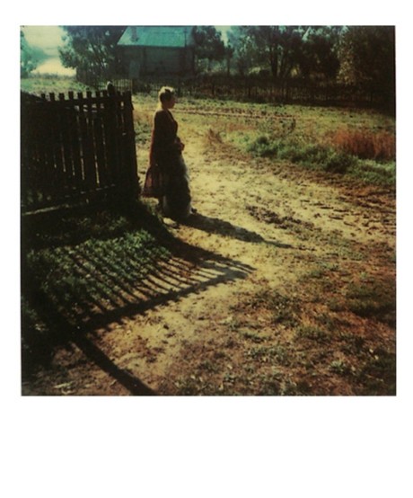  Andrei Tarkovsky. polaroid photograph.