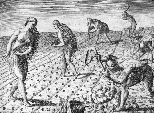 "Indians Planting", engraving, Theodore de Bry, 1591