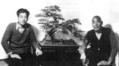 Saburo and Tomekichi Kato with Ezo Spruce. (Photo from Thomas S. Elias).