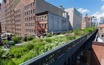 High Line (photo courtesy of Telegraph uk.)