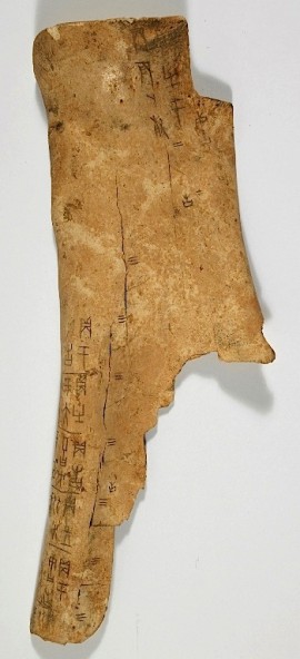 Oracle bones, Shang Dynasty. Apprx 1400 BC
