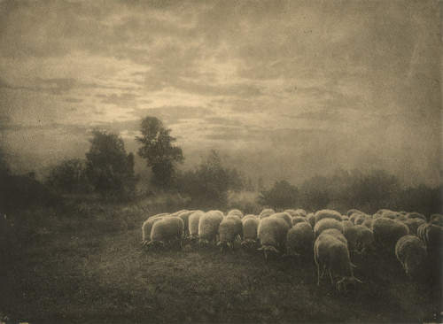 Leonard Misonne, photography. (1920s).